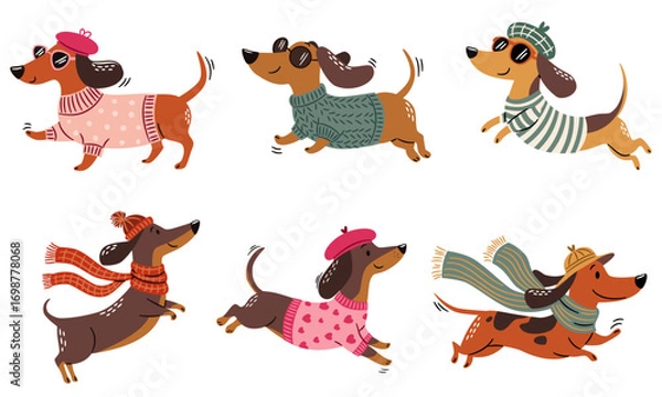Fototapeta A set of flat vector illustrations in a childlike style. Cute dachshunds run and jump wearing different sweaters, hats, glasses, and berets. . Vector illustration