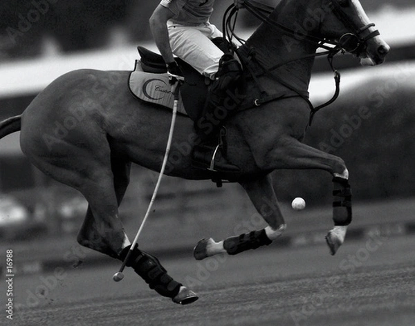 Obraz balle de match