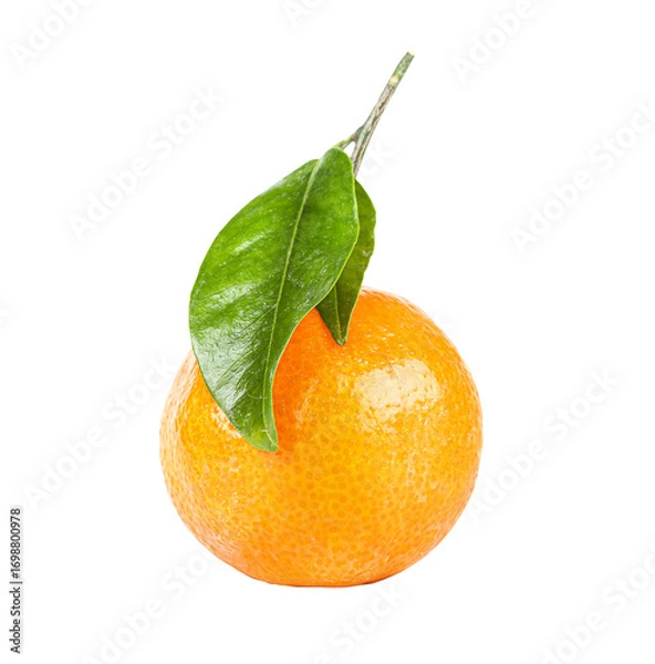 Fototapeta Mandarin with green leafs, closeup object. Isolated on transparent background