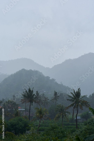 Fototapeta A tropical rainstorm in a rice field with cascading mountains and palm trees.