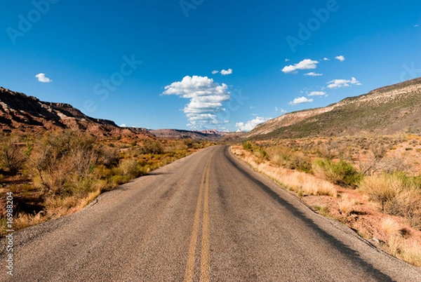 Obraz highway through desert