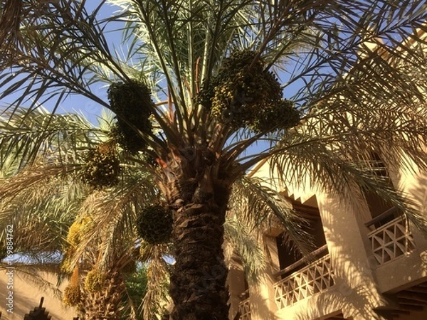 Obraz モロッコ　エルフード　旅