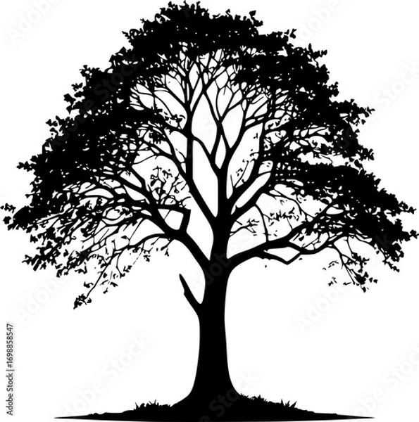 Obraz Black tree silhouette vector graphic design nature illustration art