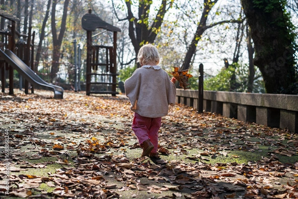 Fototapeta  toddler walking in autumn park and collecting leaves