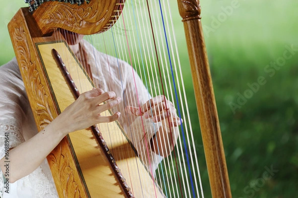 Obraz ハープ、アルパ、ラテンハープ、インディアンハープ、中南米、アルピスタ、パラグアイアン・ハープ、パラグアイ、メキシカンハープ、エクアドル、メキシコ、弦、弾く、赤い弦、青い弦、撥弦楽器、民俗楽器、ハープ属、弦楽器、竪琴、共鳴、共鳴体、はじく、叩く、指、優雅、メロディー、音楽、楽器、音、音響、木製、森、森の中、女性、手、指、十勝の森、北海道、帯広、