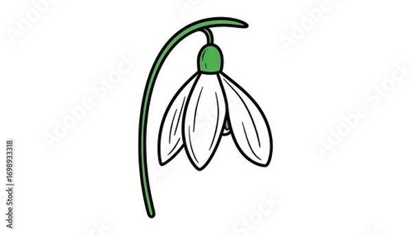 Obraz Simple, outlined illustration of a snowdrop flower with a delicate stem and green details.