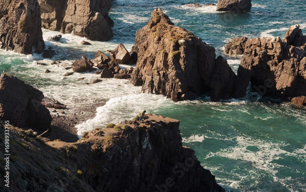 Fototapeta waves crashing on rocks