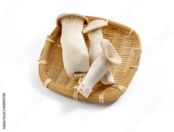 Fototapeta エリンギ　(影イキ、背景白飛ばし)