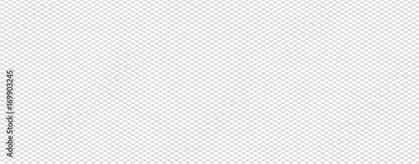 Obraz Isometric grid line vector