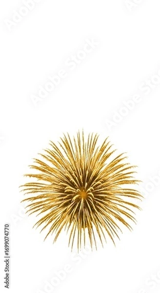 Fototapeta Golden firework burst isolated on white background, luxury festive element. 