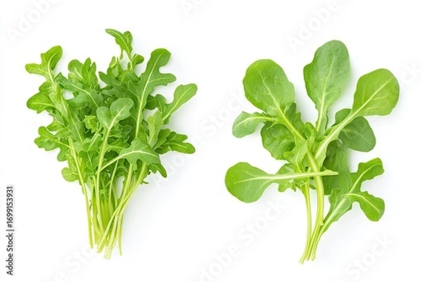 Fototapeta Fresh arugula bunches sitting on pristine white surface, highlighting crisp green leaves and vibrant culinary greens