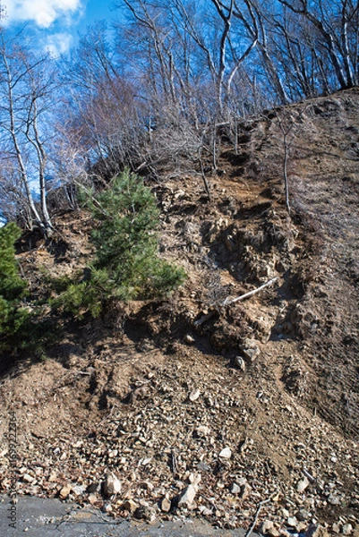 Obraz 林道の崩落