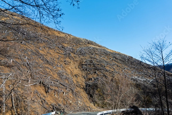 Obraz 林道の崩落