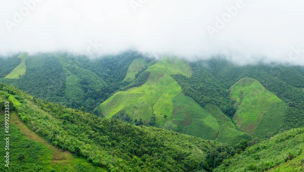 Fototapeta Beautiful landscape with fog. Rainforest ecosystem and healthy environment concept background. Panoramic mountain in deep countryside at Thailand. nature background.