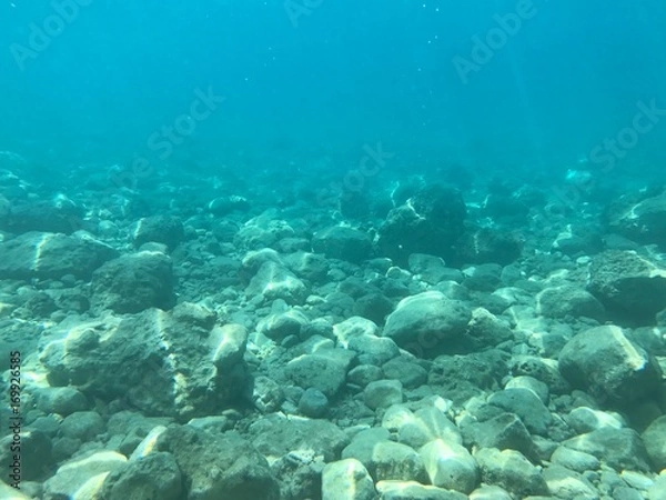 Obraz Diving (Makarska)
