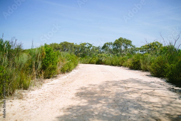 Obraz Weg im Outback