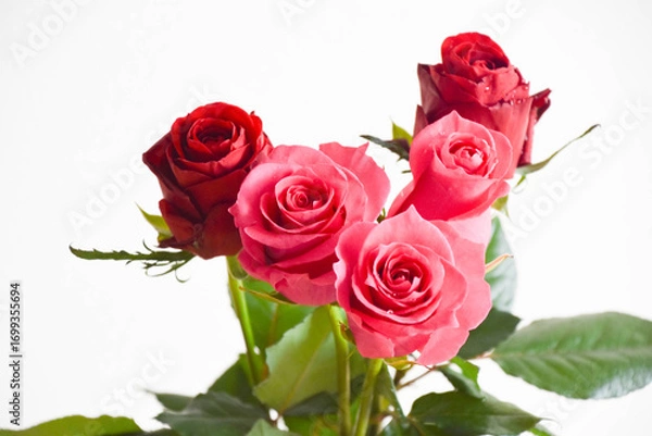 Fototapeta 赤とピンクのばら