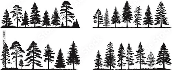 Fototapeta set of Pine and Fir Trees in Row