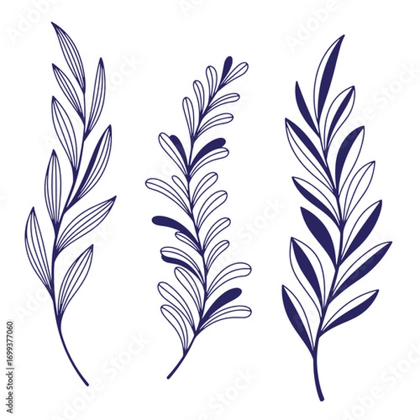 Fototapeta Elegant hand drawn botanical illustrations of leaves and branches in navy blue color