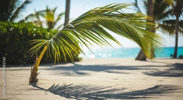 Fototapeta Palm Frond Beach Scene: Serene Tropical Photography