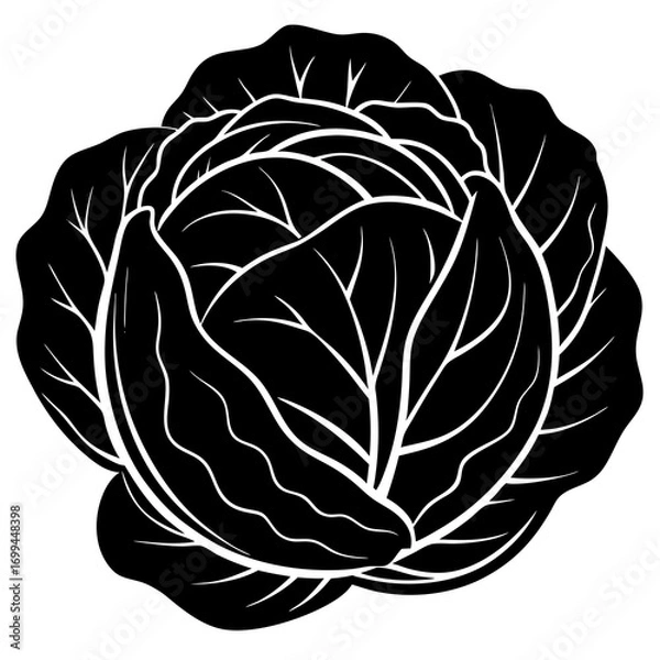 Fototapeta Stylized black and white silhouette of a fresh cabbage head with visible leaf veins