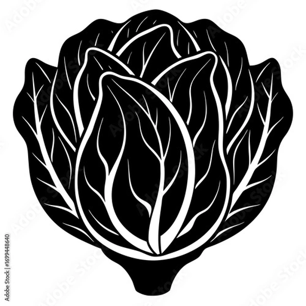 Fototapeta Stylized black and white icon of a fresh cabbage head with visible leaf veins