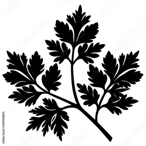 Fototapeta Black silhouette of a parsley sprig with detailed leaves against a white background