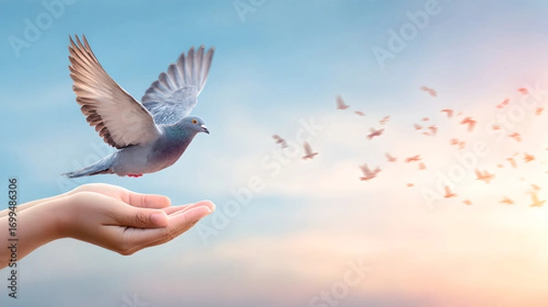 Fototapeta A pair of hands releasing a pigeon into a blue sky.
