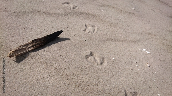 Obraz Spuren im Sand 01