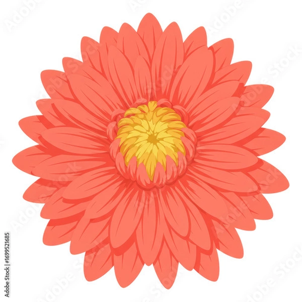 Fototapeta Vibrant coral flower with detailed petals and center isolated on white background