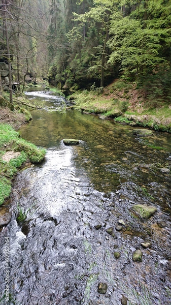 Obraz Böhmische Schweiz 02