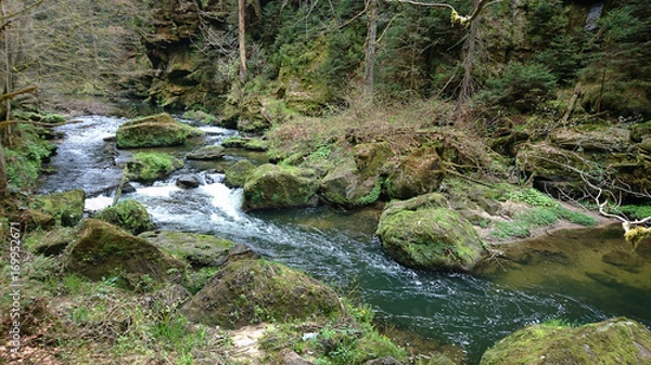 Obraz Böhmische Schweiz 04