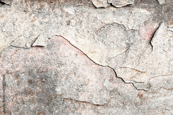 Fototapeta Light Gray Stucco Wall Texture. Abstract Background