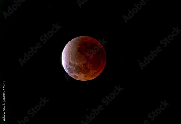 Fototapeta full moon in the night 