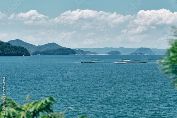 Fototapeta 海に浮かぶ島