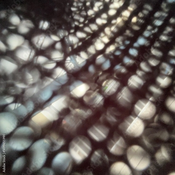 Fototapeta 木漏れ日　光　繊維