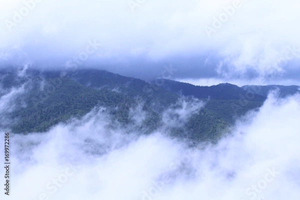 Obraz Forested Mountains Covered Under the Clouds and Heavy Fog