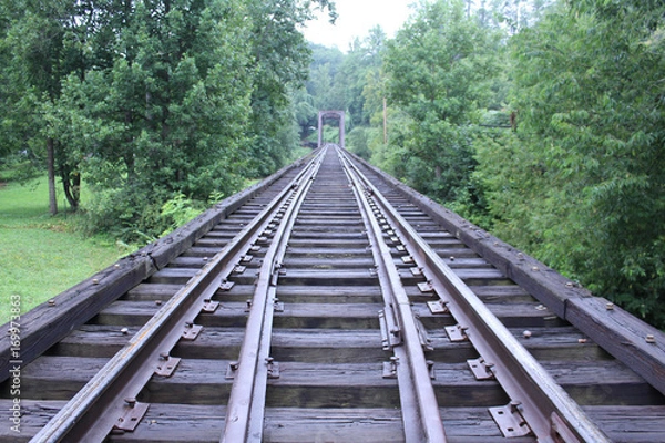 Obraz Train Tracks Bridge Crossing Rivier in the Deep Woods