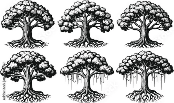 Fototapeta Stylized tree vector set with detailed canopies, exposed roots, and unique forms for nature, artistic, and educational design projects.