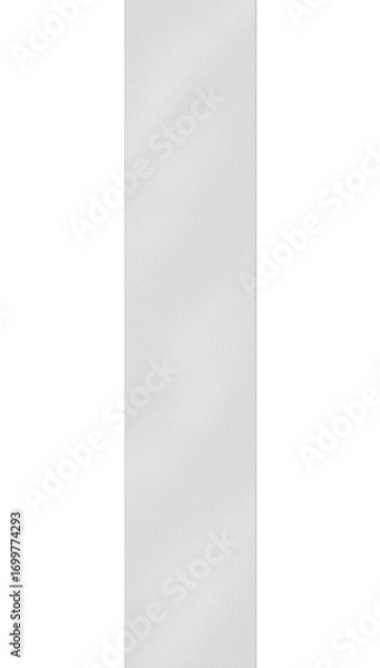 Obraz Frosted plastic film strip with fine texture, isolated