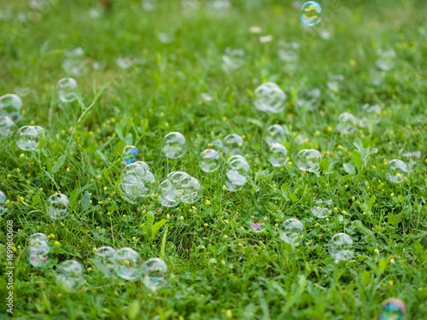 Obraz Bubbles on the Grass