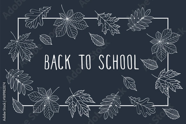 Fototapeta Back to School. Autumn leaves are drawn with chalk on the black chalkboard. Sketch, design elements.  Vector illustration.