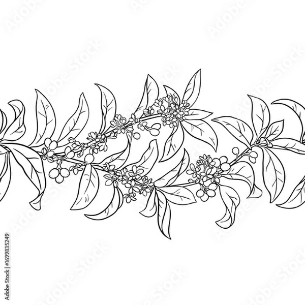 Fototapeta Osmanthus Branch with Flowers, Berries and Leaves Outline Horizontal Seamless Pattern. Vector isolated for design or decoration.