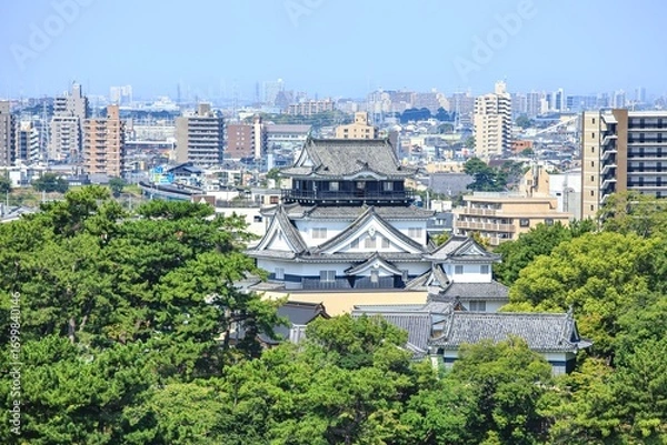 Obraz 岡崎市、岡崎城と街並み