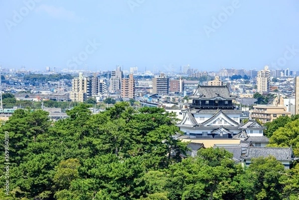 Obraz 岡崎市、岡崎城と街並み