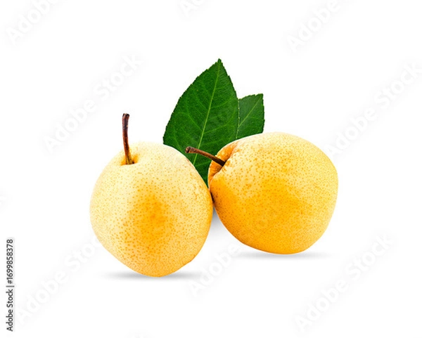 Fototapeta fresh chinese pear isolated on a white background