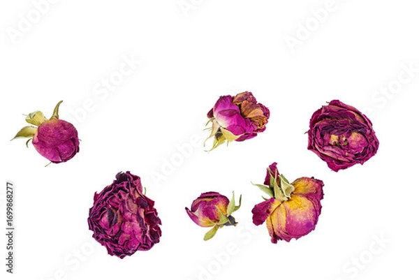 Obraz Rose flower dry tea isolated on a white background.Top view