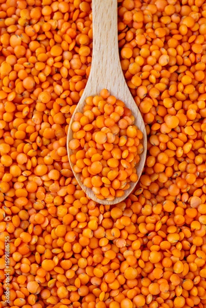 Fototapeta Red lentils isolated on white background. Pile of raw red lentils.