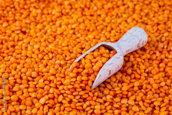 Fototapeta Red lentils isolated on white background. Pile of raw red lentils.