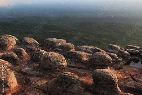 Fototapeta Evening light